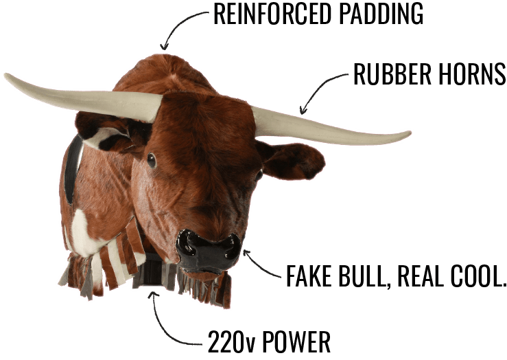 Bull Features Explainer v3 Home